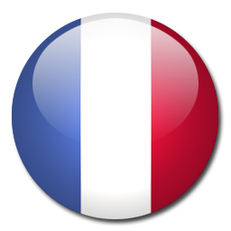 Test di lingua online: francesce